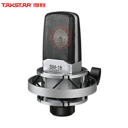 得胜（TAKSTAR）SM-18 PURE 专业录音麦克风 网络直播K歌乐器录音直播声卡套装设备电容麦克风 直播话筒  jcyd-240325011712